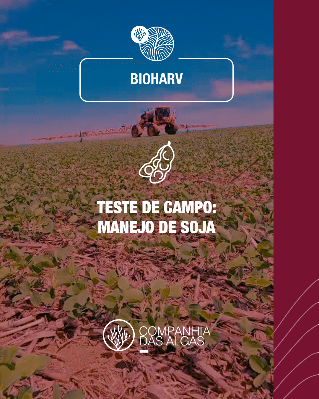 Cia-das-Algas---IG---Testes-de-Campo---.._01