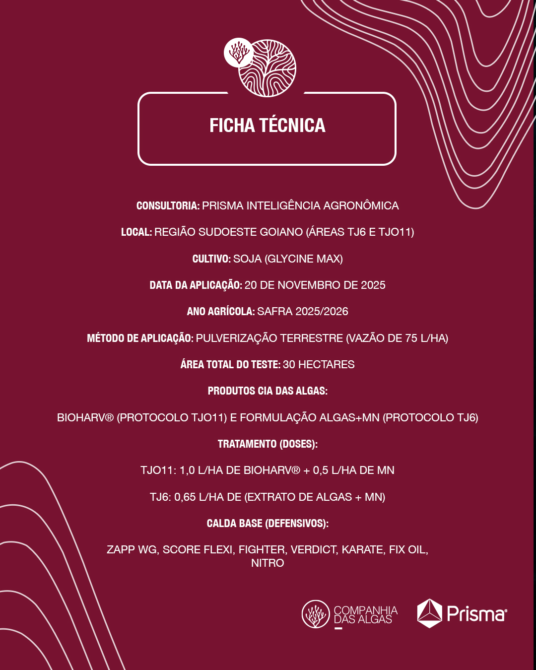 Cia-das-Algas---IG---Testes-de-Campo---.._02