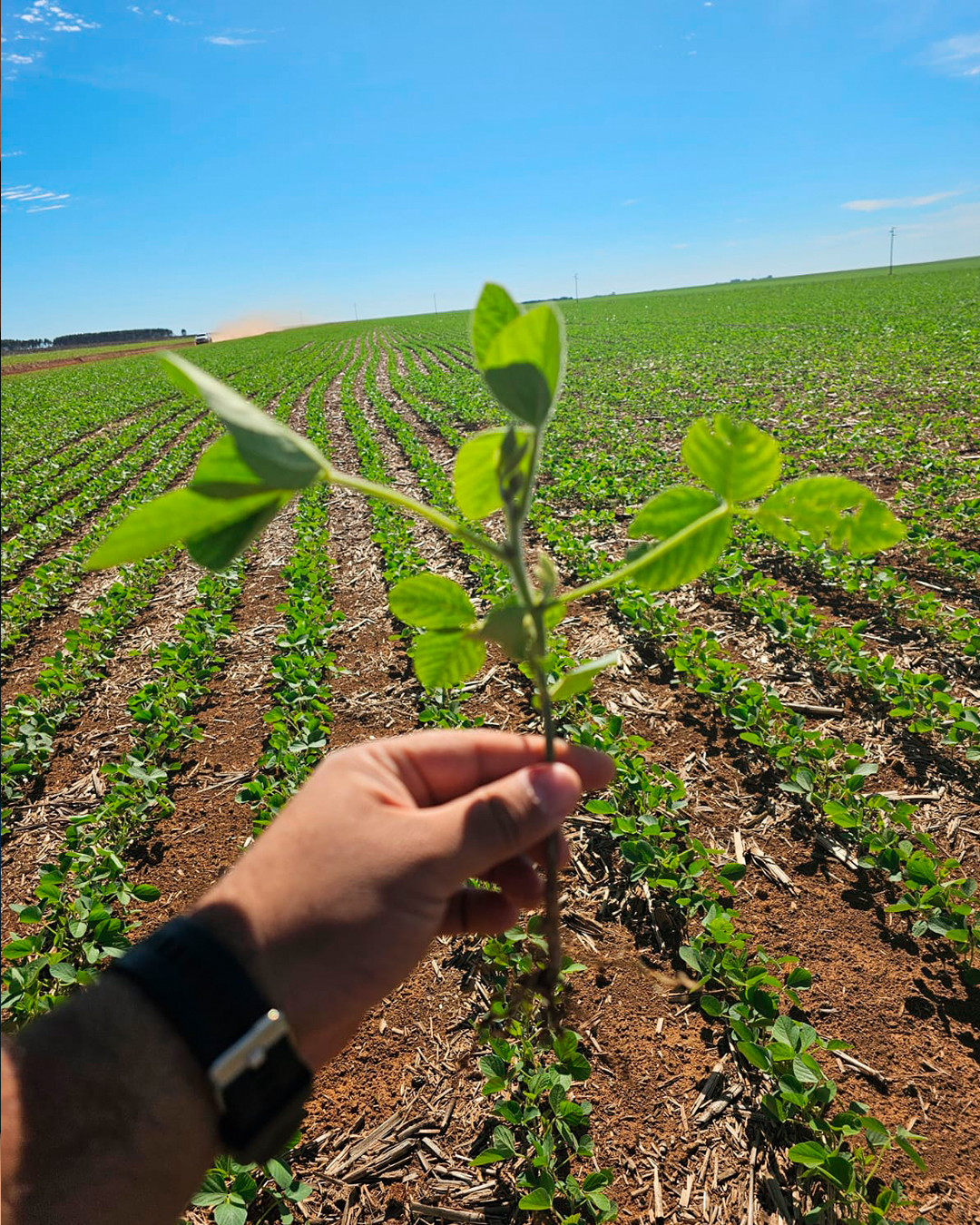 Cia-das-Algas---IG---Testes-de-Campo---.._08